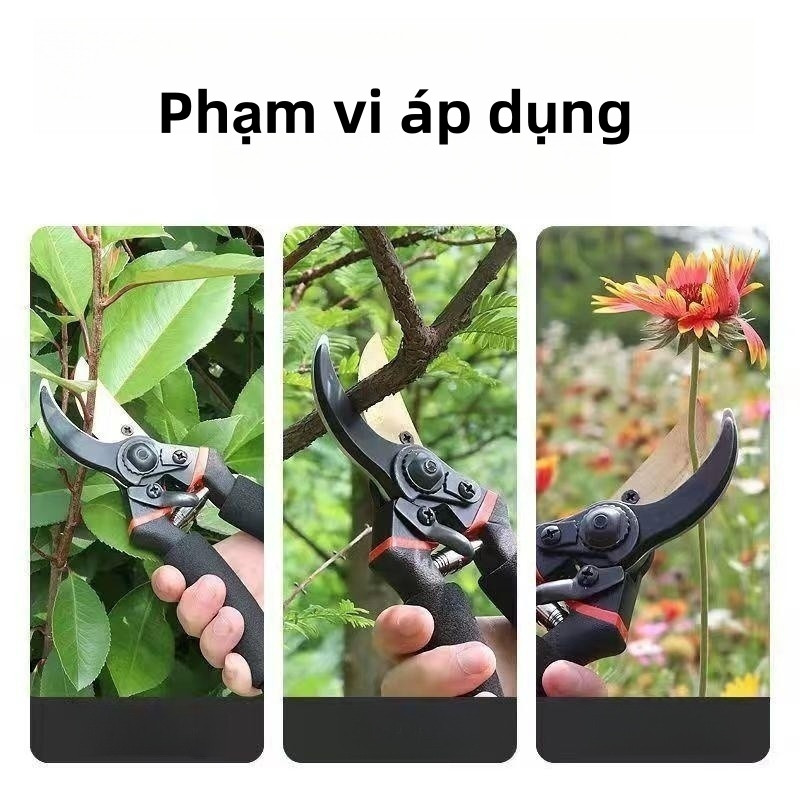 kéo cắt cây cảnh Nhật SK5,kéo cắt cành trên cao,cành cây khô thép Cắt sắc nét,Tay cầm Thoải mái Bọt biển