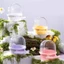 Hộp đựng vẹt công suất lớn Mya Hộp đựng chim ăn có cá rô cho Budgies và Cockatiels