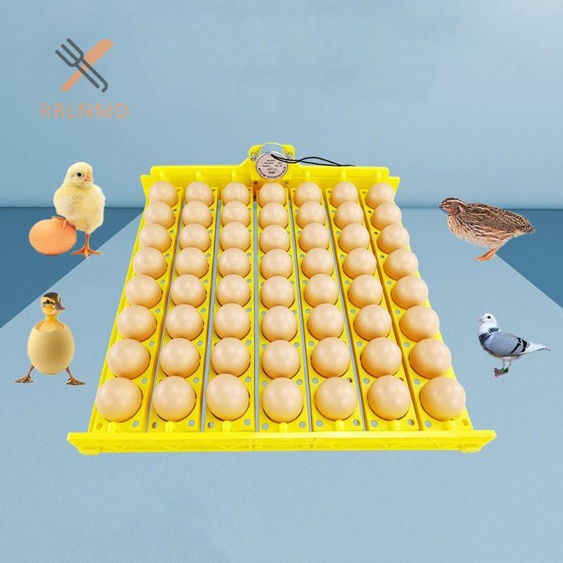 RRLNMD 8 / 22 / 36 Lỗ Máy ấp trứng tự động Khay đựng trứng gà Máy ấp trứng cho vịt Gia cầm ngỗng Chim Phụ tùng thay thế MỚI