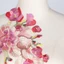 MERIGGIARE Hoa Thêu Táo, Handmade May Trên DIY Quần Áo Phụ Kiện, Thời Trang DIY Đính Miếng Dán Sang Trọng Đầm May Miếng Dán Váy Dạ Hội
