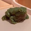 GILL Ếch Bóp, Toad Giảm Căng Thẳng Ếch Mô PhỏngToy, Mềm Dính Đồ Chơi Giải Nén Đồ Chơi Tricky