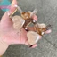 Sund Thạch Màu Trái Tim Hình Móng Vuốt Tóc Kẹp Dành Cho Nữ Cô Gái Ngọt Ngào Trong Suốt Nhựa Phụ Kiện Tóc Tinh Tế Kẹp Tóc VN