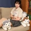 COCODECOVED Husky Đồ chơi sang trọng, Thú nhồi bông Nằm chó nâu Búp bê sang trọng, Quà tặng sinh nhật Hoạt hình 30 / 40 / 50CM Thú cưng Chó con Nhồi bông Đồ chơi trẻ em