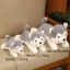 COCODECOVED Husky Đồ chơi sang trọng, Thú nhồi bông Nằm chó nâu Búp bê sang trọng, Quà tặng sinh nhật Hoạt hình 30 / 40 / 50CM Thú cưng Chó con Nhồi bông Đồ chơi trẻ em