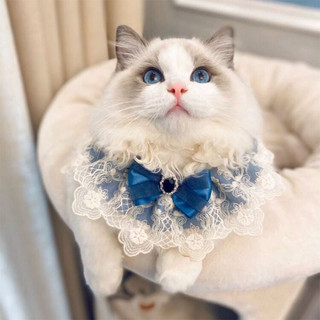 Mèo Ren Yếm Cổ Có Nơ Dễ Thương, Ren Ngọt Ngào Thú Cưng Yếm Mèo Thú Cưng Khăn Cổ Áo Cho Chó Con Mèo Trang Phục Phụ Kiện