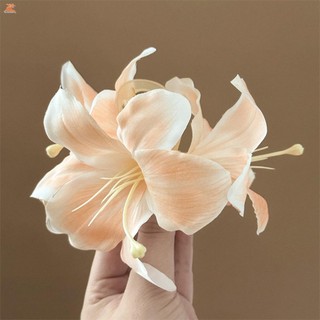 Lily Hoa Mẫu Móng Vuốt Tóc Barrettes Tính Khí Đa Năng Phụ Kiện Tóc Mũ Đội Đầu Cho Nữ Và Bé Gái Sử Dụng Hàng Ngày