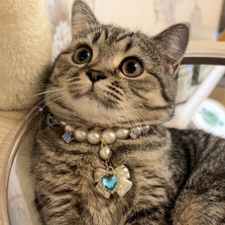 Vòng cổ chó mèo, Vòng cổ ngọc trai chó mèo cho chó con Mèo con Trang sức chống rách Trang trí thú cưng Tiệc cưới