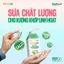 Thùng 12 hộp Varna Life sữa tươi công thức hỗ trợ xương khớp chắc khỏe (Xanh) (12 hộp giấy x 200ml)
