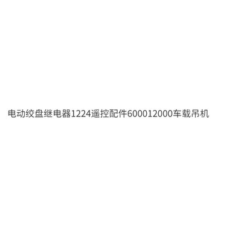Rơle tời điện 1224 Phụ kiện điều khiển từ xa 600012000 Cần cẩu gắn trên xe NNVG