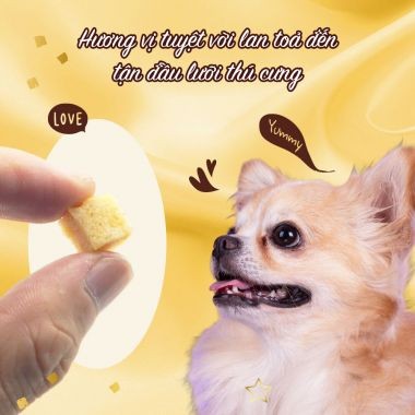 Viên gà nướng mềm SAYA 100g Doggyman