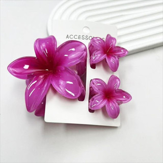 SMILE 3 Cái / bộ Vuốt Tóc, Kẹp Tóc Hoa Hawaii Gradient Acrylic, Kẹp Đuôi Ngựa Hoa Plumeria Nhiều Màu Sắc Đi Biển