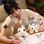 COCODECOVED Husky Đồ chơi sang trọng, Thú nhồi bông Nằm chó nâu Búp bê sang trọng, Quà tặng sinh nhật Hoạt hình 30 / 40 / 50CM Thú cưng Chó con Nhồi bông Đồ chơi trẻ em