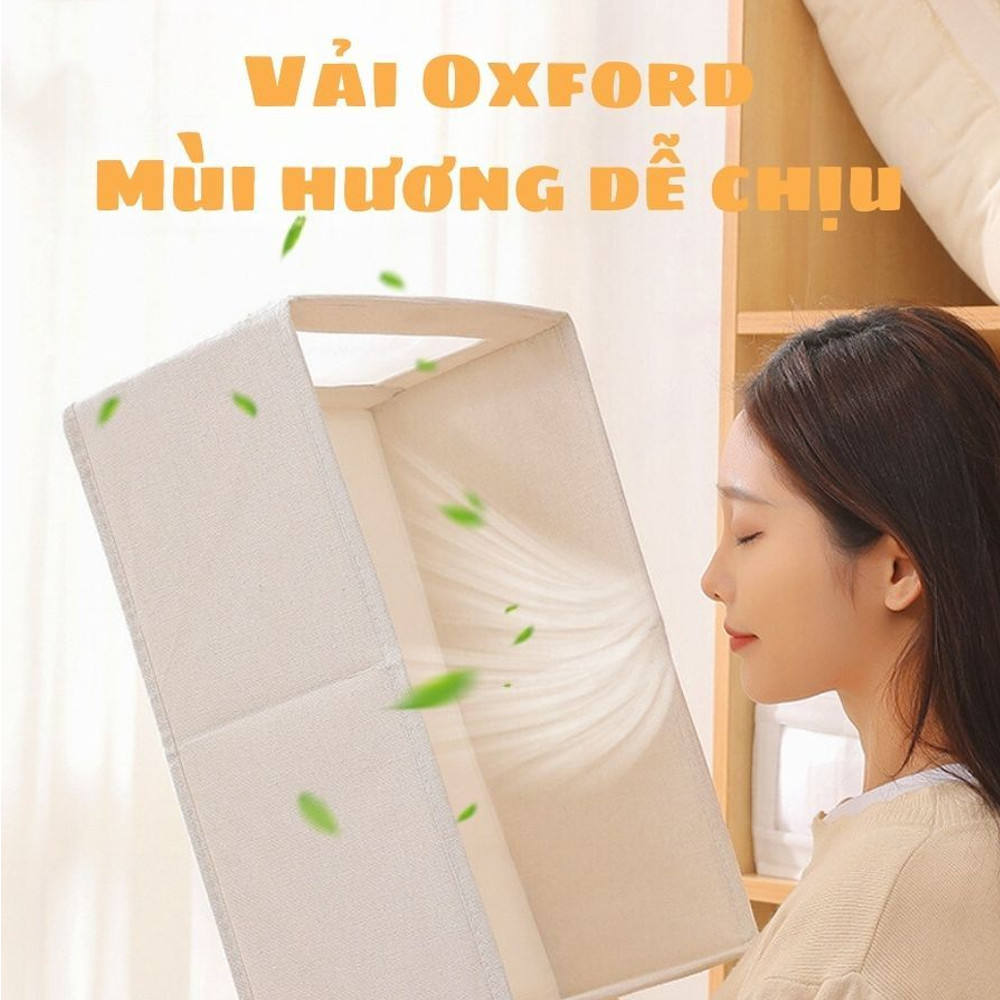 Hộp đựng quần áo, đựng tất vớ, đồ lót vải oxford tấm nhựa PP cứng cáp có thể gập gọn thông minh