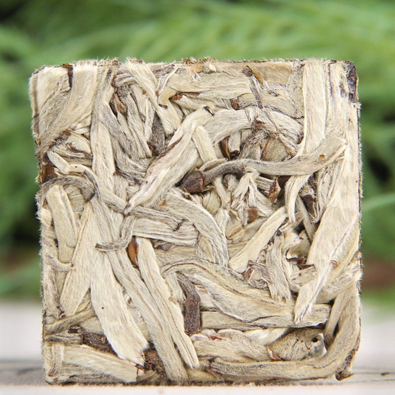 BÁNH TRÀ MINI BẠCH HÀO NGÂN CHÂM - LÃO BẠCH TRÀ PHÚC KIẾN VÙNG NÚI CAO VÂN NAM (01 BÁNH DÙNG THỬ KHOẢNG 10 GRAM)