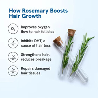 Be Bodywise Hair Growth Serum Roll On - 3% Rosemary, 3% Redensyl & 2% (25ml)
