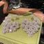 T Tính Khí Đẹp Zircon Thời Trang Sang Trọng Tính Khí Bông Tai Tinh Tế