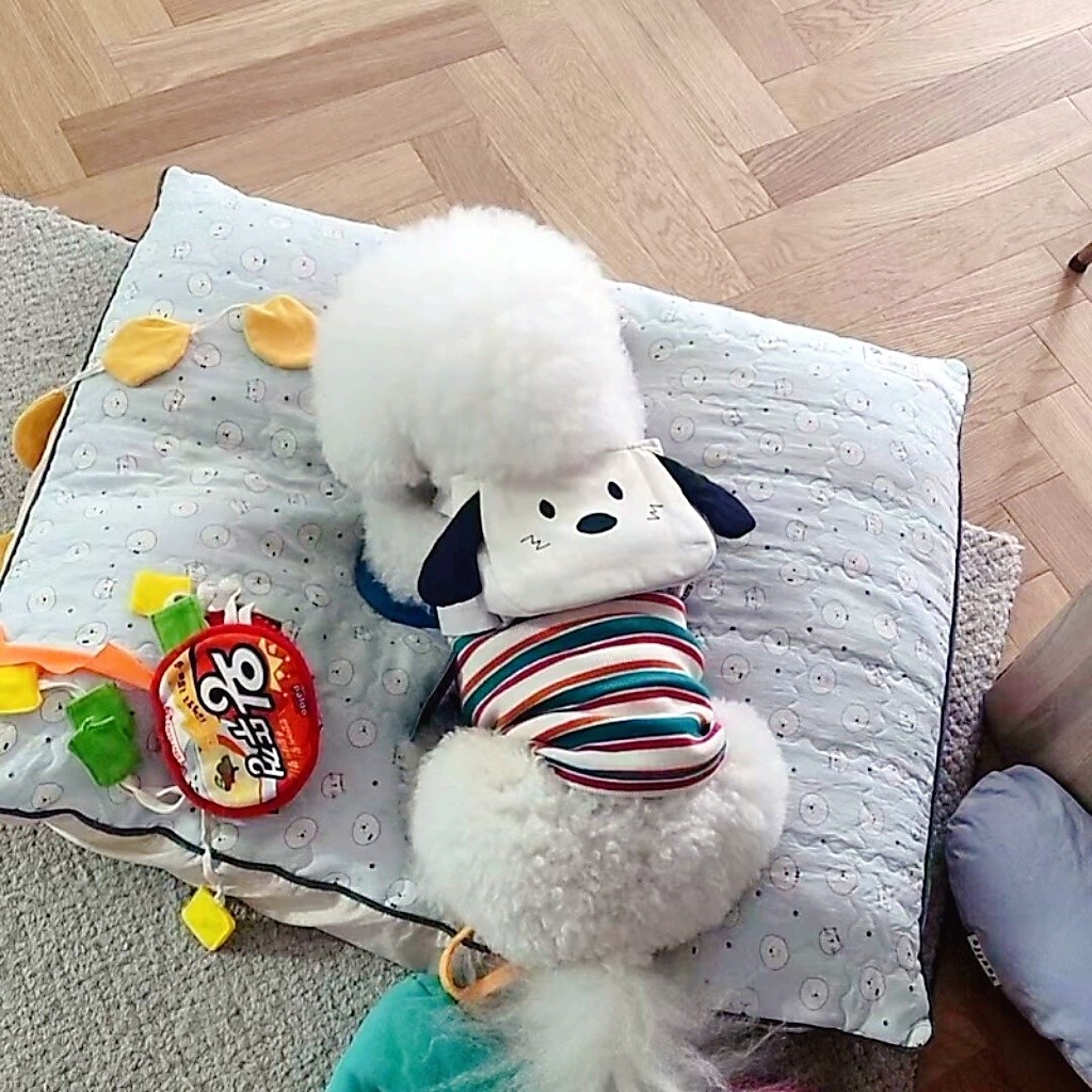 [Puppy: Mang theo túi riêng của bạn] Ba lô cho chó Dây xích miễn phí Ba lô đi chơi cho thú cưng Dây đeo vai có thể điều chỉnh phải có để chó đi bộ có thể đặt túi kiểm tra Shit Xiaohongshu Tỷ lệ đầu siêu cao