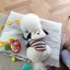 Ba lô cho chó Dây xích miễn phí Ba lô đi chơi cho thú cưng Dây đeo vai có thể điều chỉnh phải có để chó đi bộ có thể đặt túi kiểm tra Shit Xiaohongshu Tỷ lệ đầu siêu cao
