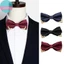 Sund Nam Thắt Nơ Kim Loại Chắc Chắn Cao Quý Cổ Điển Polyester Nơ Cravat Nơ Nữ Nam Cổ Áo Dự Tiệc Cung Cấp VN