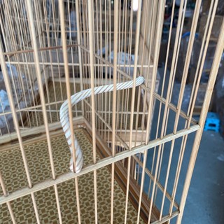 Cầu góc cho lồng chim chào mào gỗ thông, cầu đậu lồng chào mào gỗ thông uốn vuông (1 cái), cầu góc cho chim đậu