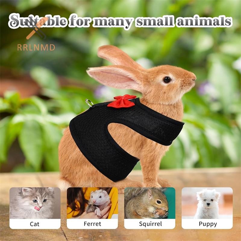 Bộ dây nịt và dây xích thỏ RRLNMD, Áo Vest dây nịt an toàn cho thỏ & chuột lang - Bộ dây xích dây đeo ngực có thể điều chỉnh cho thú cưng nhỏ MỚI