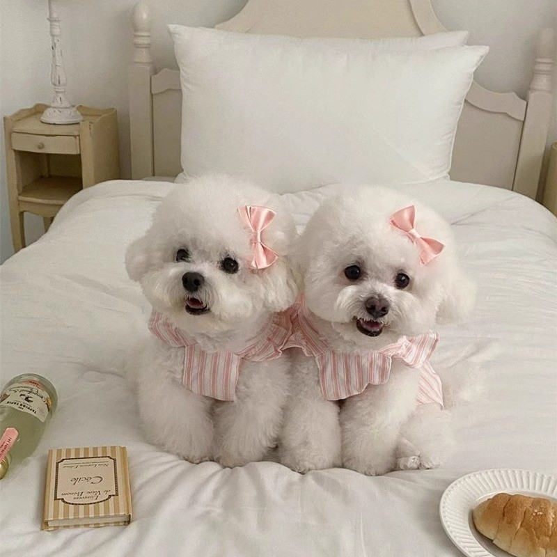 【Ready Stock】 Dog Cat Spring and Summer Cute Flying Sleeve Striped Dress Pet Puppy Clothes Thin Bichon York Summer N9vQ