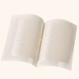 Keo Dính Ruồi Set 10 Cái Kích Thích Ruồi Miếng Dán Ruồi Côn Trùng Bọ Quán Ăn Nhà Ở Không Độc Hại - SUNND