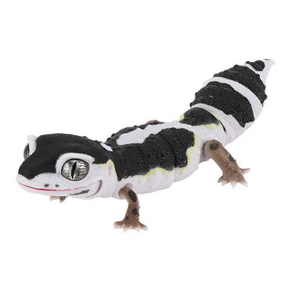 [BTF] BANDAI Capsule Toy Sách minh họa sinh học Gecko Gecko Lizard Armadillo Động vật mô phỏng B4V2S