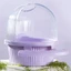 Hộp đựng vẹt công suất lớn Mya Hộp đựng chim ăn có cá rô cho Budgies và Cockatiels