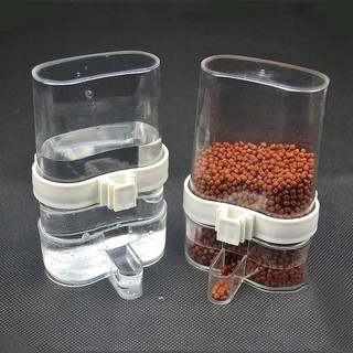 Cóng Ăn, Cóng Cấp Nước Tự Động Cho Chim Các Loại, Bình Uống Nước Cho Chim