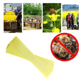 Comereally 20 Chiếc Túi Acaricide Dải Fluvalinate Ong Mite Killer Dụng Cụ Điều Trị Nuôi Ong Kiểm Soát Dịch Hại Tiếp Liệu Truy Cập