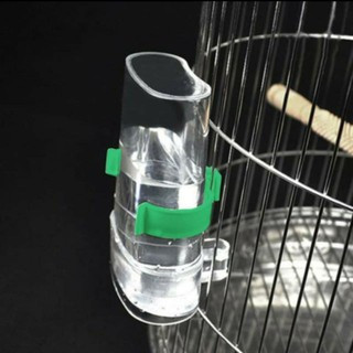 Cóng Ăn, Cóng Cấp Nước Tự Động Cho Chim Các Loại, Bình Uống Nước Cho Chim
