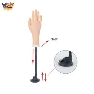 Giá đỡ cố định tay nhân tạo để thực hành làm móng