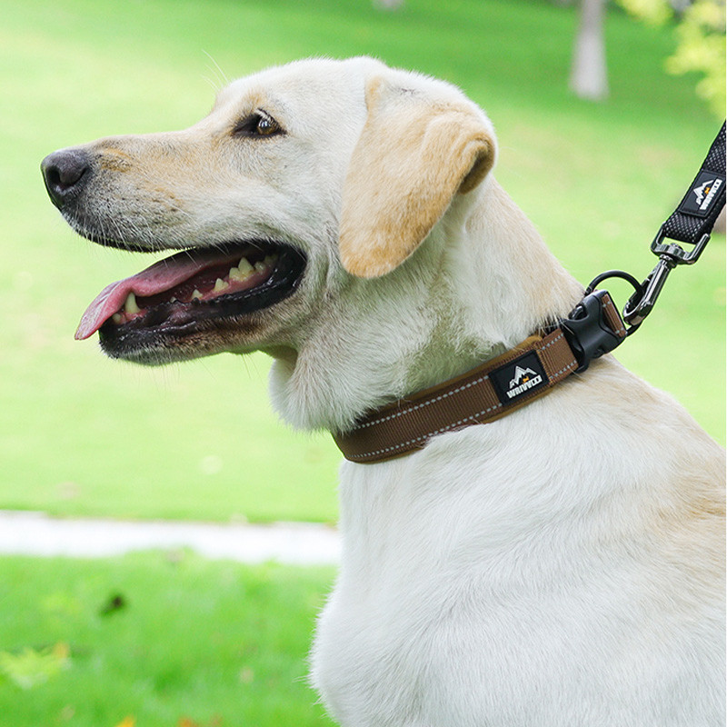 Cổ Thú Cưng Mềm Mại Thoáng Khí Lót Bền Webbing Thiết Kế Phản Quang Kim Loại D-Ring Tất Cả Các Giống Chó