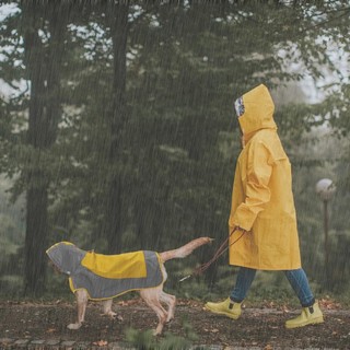 Áo mưa cho chó, Áo khoác cho chó chống nước ngoài trời, Áo khoác phản quang cho chó có mũ trùm đầu, Áo len Poncho cho chó nhẹ cho chó lớn cỡ vừa