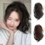 Đuôi ngựa gợn sóng ngắn DELMER, Kẹp tóc đuôi ngựa xoăn phong cách Hàn Quốc, Phần mở rộng tóc Fasion Kẹp móng vuốt tổng hợp giả Đuôi ngựa Phụ nữ / Bé gái