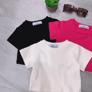AT15-[tomnaukids] Áo thun cộc tay croptop cho Bé gái vải Zip cotton - Size 6-30Kg
