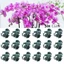 CORALTIDE 100 Chiếc Kẹp Cây, Hoa Lan Hỗ Trợ Giấm Ghép Ghép Kẹp, Đồ Dùng Dụng Cụ Làm Vườn 6 Vuốt Nhựa Bướm Kẹp Trái Cây Thân Rau