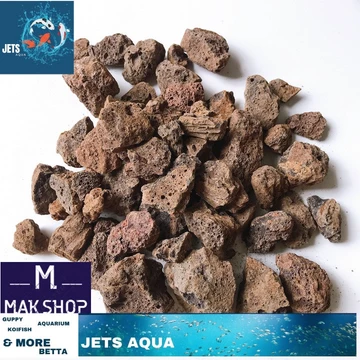 1kg Đá Nham Thạch,Vật Liệu Lọc Nước Hồ Cá,Ngôi nhà Lý Tưởng cho Vi Sinh -Vật Liệu Lọc Nước