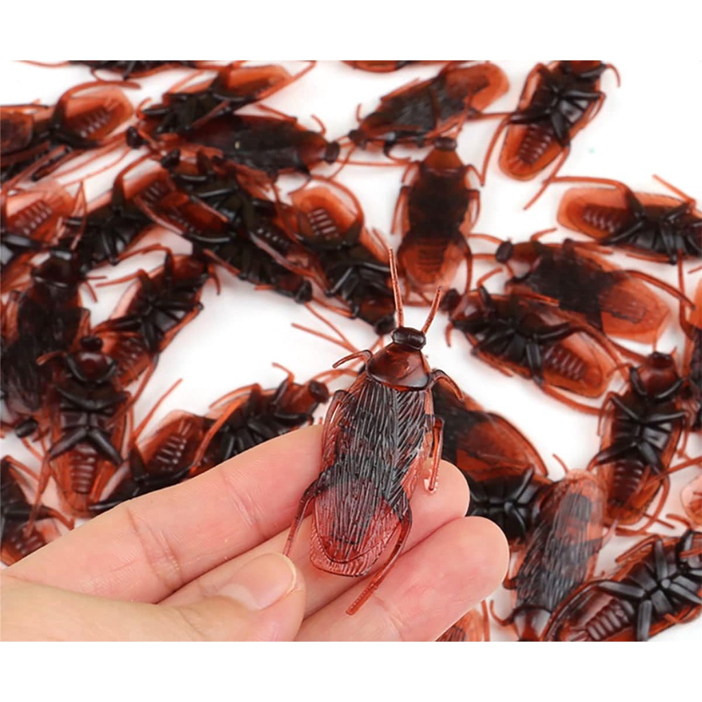 Set 50 Con Gián Giả Bằng Nhựa Dùng Để Trang Trí | Shopee Việt Nam