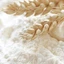 Bột mì hữu cơ nguyên cám/trắng đa dụng/ bột mì Manitoba (Protein 14%) - Sima Bio nhập khẩu Ý