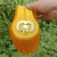 MERIGGIARE 1 Cặp Miếng Lót Vai Epaulettes, Có Khóa Trâm Cài Bảng Tua Rua Viền Epaulets, Áo Khoác Nhiều Màu Sắc Bền Đẹp Áo Khoác Epaulett Cho Dây Trống Sừng
