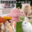 【Pet House】Máy Cho Thú Cưng Bú Sữa Và Uống Nước Bình Sữa Silicon Máy Cho Bú Chống Sặc Mô Phỏng Sữa Mẹ