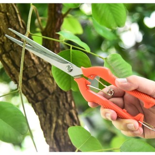 MISTY Kéo cắt tỉa vườn, Dụng cụ cầm tay bằng thép không gỉ Miếng dán rau củ, Dụng cụ làm vườn mỏng Kéo cây cảnh