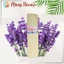Nước hoa xịt thơm phòng ngủ khử mùi Queen Love cao cấp hương hoa làm thơm phòng và đuổi côn trùng