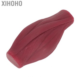 Xihoho Cơ thể con người Mô hình bản sao cơ bắp Kết cấu nhựa Bản sao 1lb cho