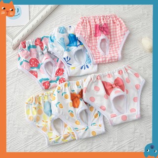 Quần Lót Sinh Lý Dễ Thương Cho Thú Cưng