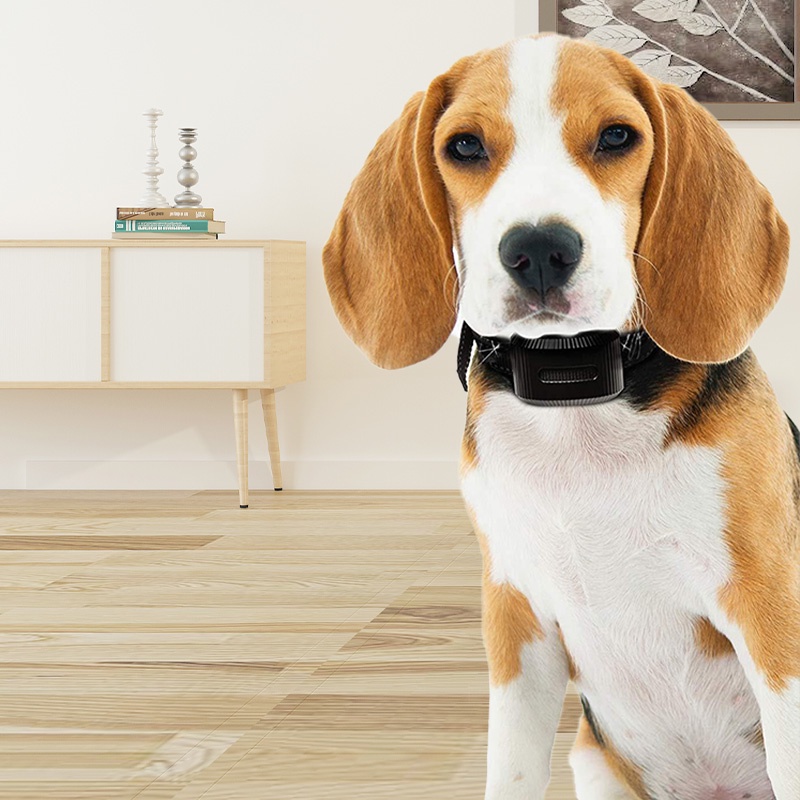 HamshMoc Có Thể Điều Chỉnh Cho Chó Chống Trầy Xước Cổ Điện Thông Minh Thú Cưng Tự Động Dừng sủa Chống Cắn Chó Đồ Dùng Huấn Luyện