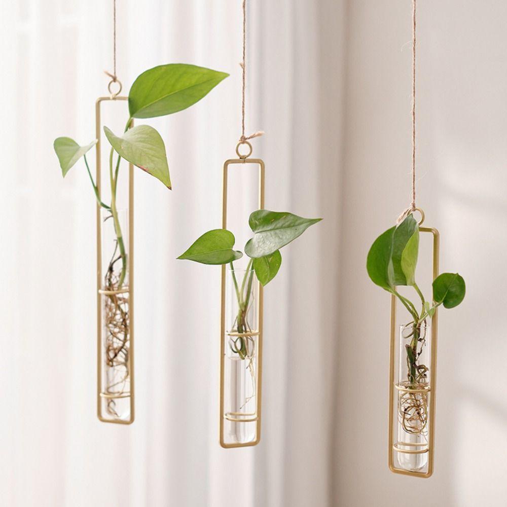 Bình ống nghiệm JUNYUE88US, Bình thủy tinh treo tường trong suốt treo tường, Hộp trồng cây bằng thủy tinh Bắc Âu Bình thủy tinh dày Cây xanh