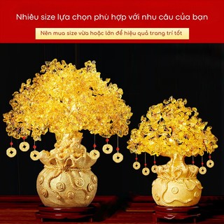 Cây Kim Tiền Myd.23 Tài Lộc Phong Thủy May Mắn Đá Thạch Anh Phát Tài